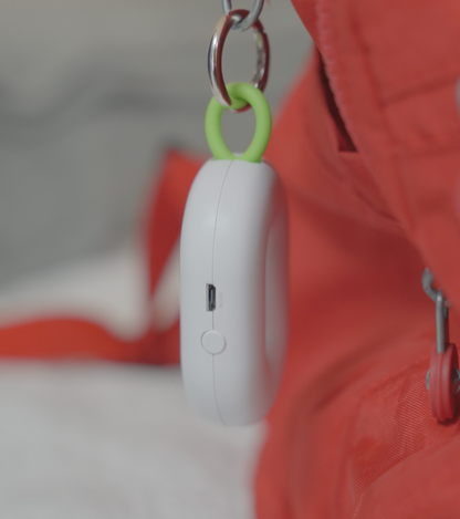 Ionic Medallion (Keychain)